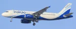 IndiGo