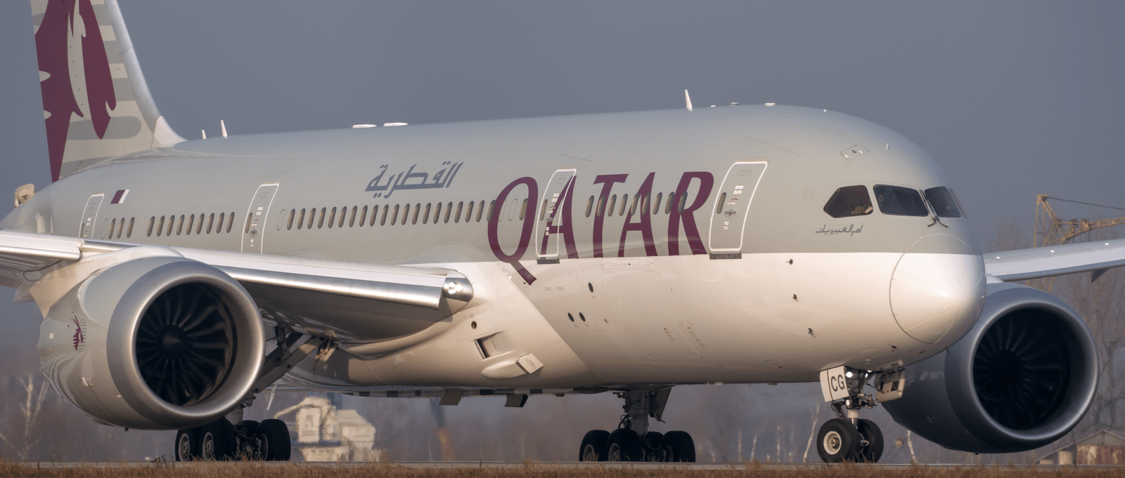 Qatar Airways Banner | FlightDeckFriend.com