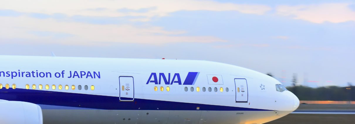 ANA 787 on the ground