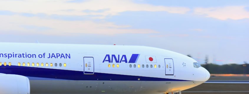 ANA 787 on the ground