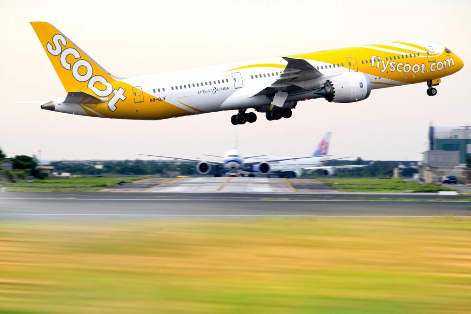 Scoot Airlines 787
