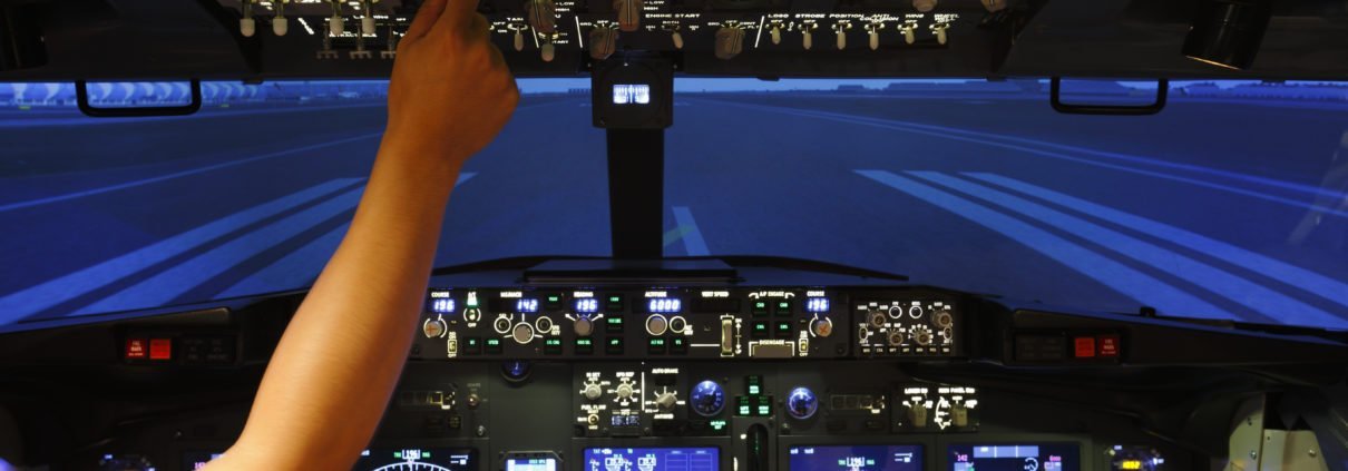 Flight simulator experiences