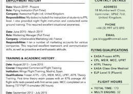 Example Pilot CV Templates